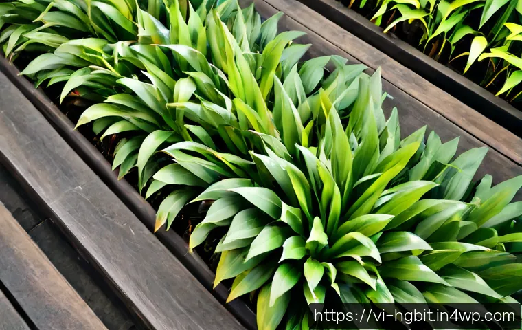 Kỹ thuật giảm căng thẳng để tăng khả năng phục hồi: chọn cách phù hợp với lịch sống và ngân sách 4 회복탄력성을 위한 스트레스 완화 기법 관련 이미지 2