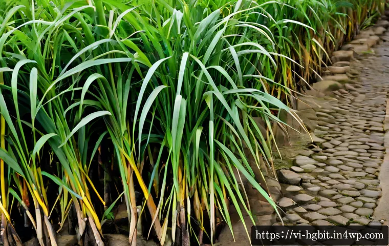 Những bài học cuộc sống giúp xây dựng khả năng phục hồi khi đối mặt áp lực 4 회복탄력성을 위한 인생의 교훈 배우기 관련 이미지 2
